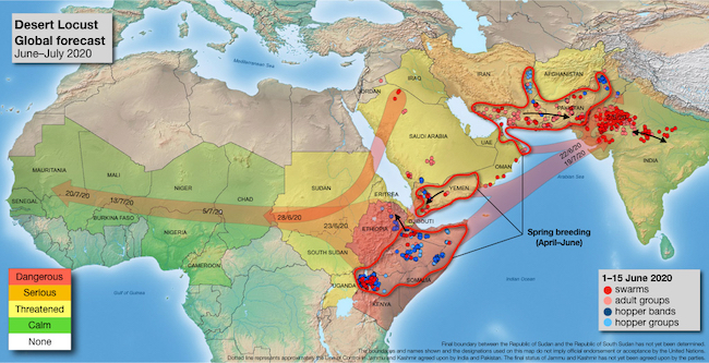 Mappa della proiezione FAO sull'invasione delle cavallette giugno-luglio 2020 (Courtesy: FAO)