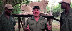 Arthur Mathewson con le sue leonesse bianche (Courtesy www.rhinosaverz.org)