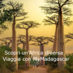 viaggio madagascar