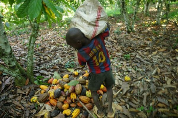 Costa d’Avorio: il lavoro minorile nascosto nelle nostre tavolette di cioccolato