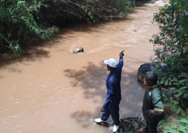 In pochi mesi ritrovati 31 cadaveri in un fiume nel nord del Kenya