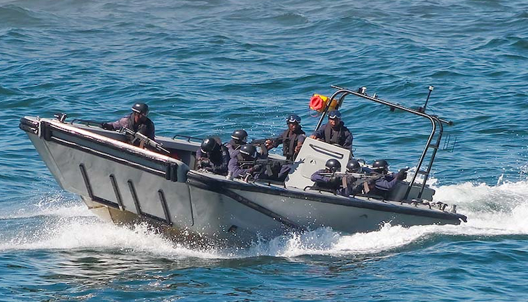 fanteria South African Maritime Reaction Squadron