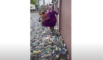 Fiume di bottiglie di plastica a Kinshasa