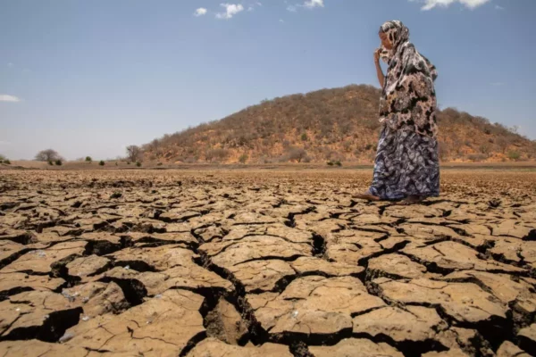 Nuovo allarme siccità nel Corno d’Africa: milioni di bambini a rischio malnutrizione