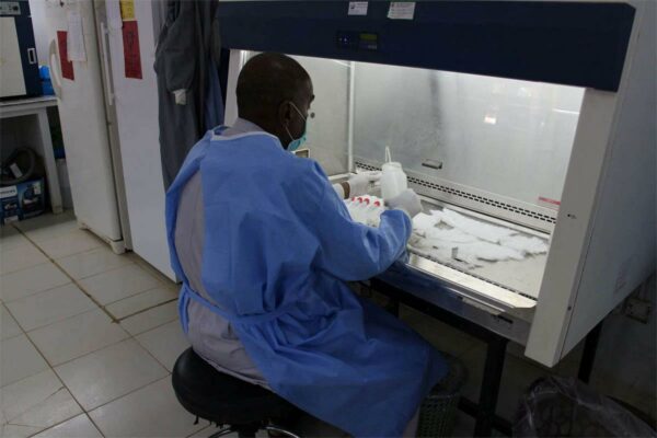 Laboratorio attaccato dalle milizie: a Khartoum si teme contaminazione biologica