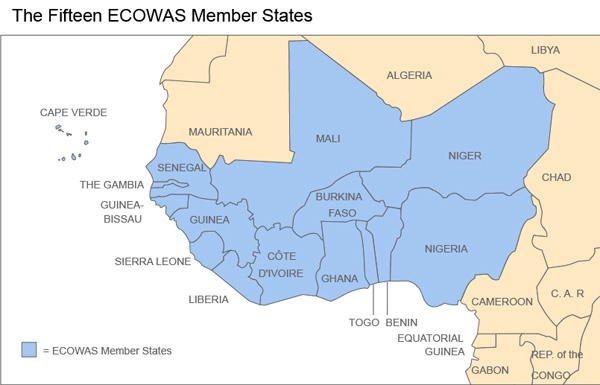 Come si presenterebbe la minaccia dell'ECOWAS di usare la forza per  ripristinare la democrazia in Niger? - Africa Express: notizie dal  continente dimenticato