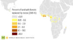 percentuale deforestazione per cacao in Africa