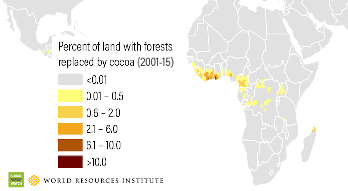 cacao percentuale di deforestazione in Africa