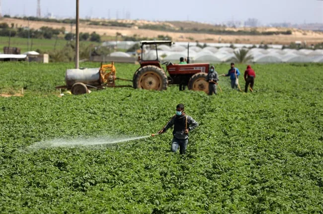 Dopo il Malawi, il governo del Kenya è pronto a inviare 1.500 operai agricoli in Israele