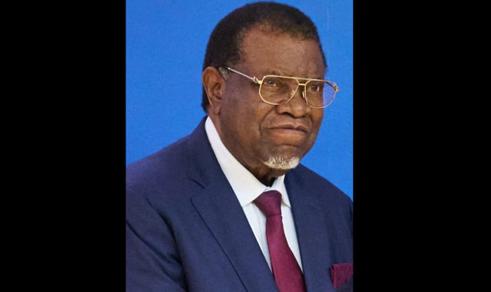 presidente Namibia Hage Geingob