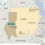 _107233012_9e6a0066-ef93-4cbc-82d6-1e59b80a83d8