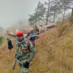 2440791c-6fdf-4f13-ab55-97ffab88d5a6