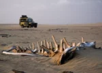 Namibia Le splendide dune sul mare Skeleton coast