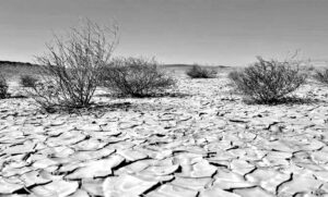 desertificazione del suolo