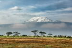 main-trekking-kilimanjaro