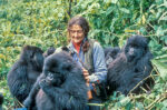 Dian Fossey tra i gorilla in Ruanda