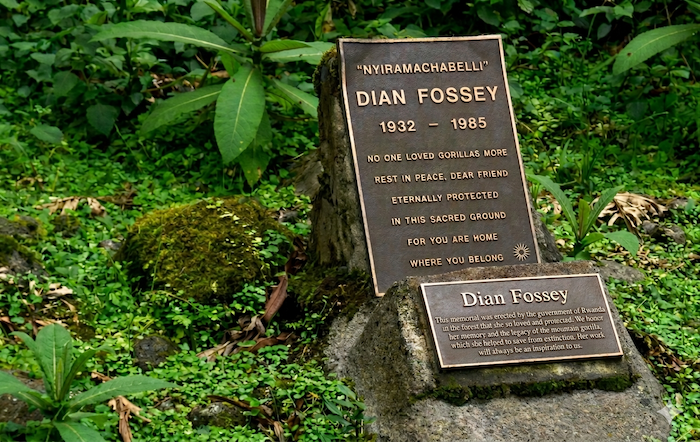 Tomba Dian Fossey