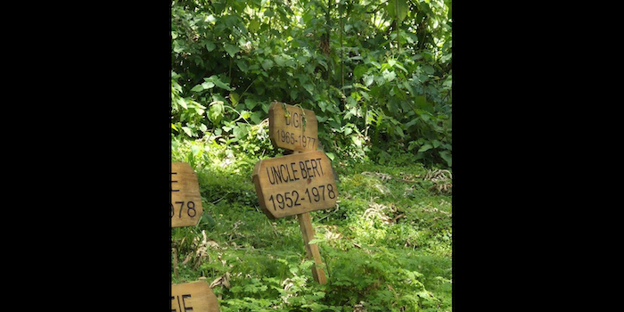 Dian Fossey cimitero dei gorilla